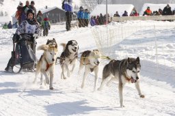Lenk 2012 SM